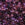Beads wholesaler Miyuki Round Beads 11/0 Mix Lilacs (10g)