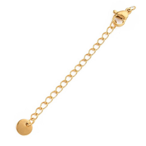 Buy Lobster Clasp and extender chain 5cm with Medal - Stainless Steel Gold (1)