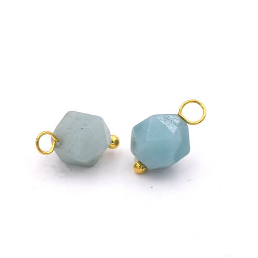 Charms Polygon Amazonite 8x9mm - Golden pin (2)