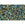Beads wholesaler cc243 - Toho beads 11/0 inside colour rainbow topaz/opaque emerald lined (10g)