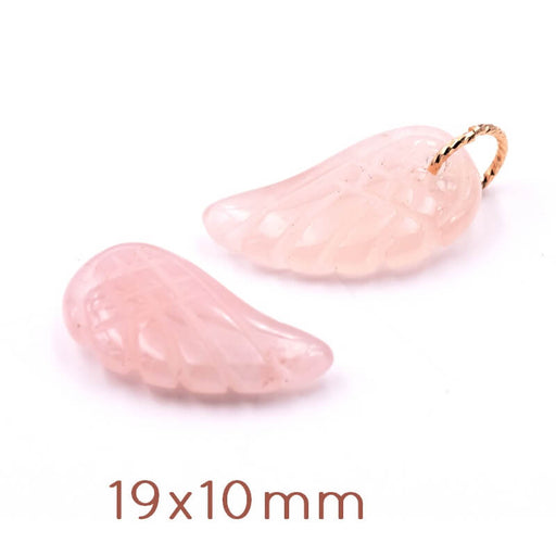 Wing carved gemstone rose Quartz 19x10mm, hole 1,2mm (1) Made from shellfish powdered, pressed and heated. These pretty beads will allow you to bring a new touch to your creations