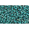 cc270 - Toho beads 15/0 rainbow crystal/prairie green lined (5g)