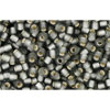 cc29bf - Toho beads 11/0 silver lined frosted grey (10g)