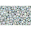cc176af - Toho beads 11/0 transparent rainbow frosted black diamond (10g)