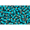 Buy cc27bdf - Toho beads 11/0 silver lined frosted teal (10g)