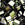 Beads Retail sales Cc458 - Miyuki tila beads brown iris 5mm (25)