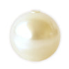 Buy 5818 Swarovski half drilled crystal cream pearl 8mm (4)