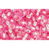 Buy cc38 - Toho beads 8/0 silver-lined pink (10g)