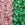 Beads wholesaler cc2720 - Toho beads 11/0 Glow in the dark pink/yellow green (10g)