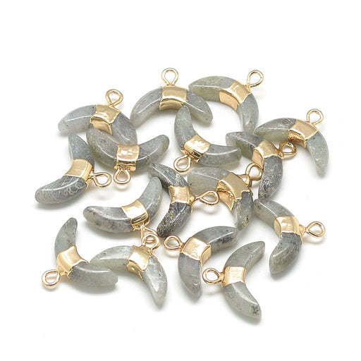 Labradorite Pendant, with golden Brass- 12mm long, 16mm wide (1)