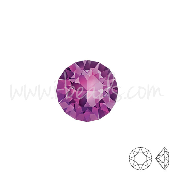 Swarovski 1088 xirius chaton amethyst 6mm-ss29 (6)