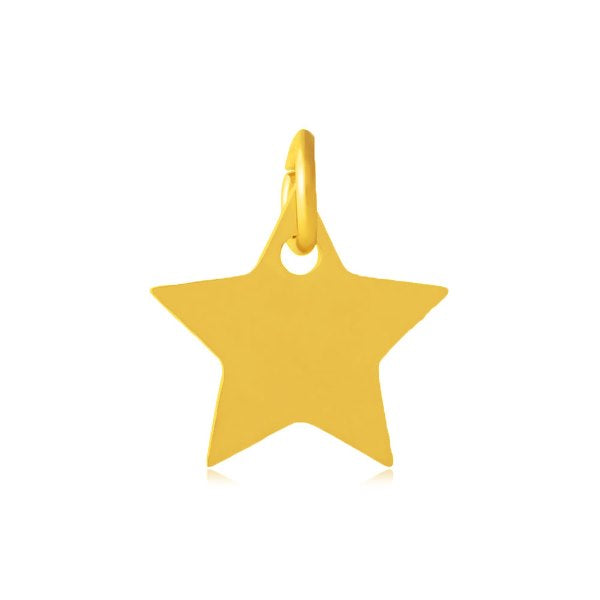 Stainless Steel Pendants, Star with jump ring, Golden, 12mm (1)