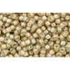 cc369 - Toho beads 11/0 black diamond/orange cream lined (10g)