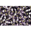 cc39 - Toho beads 8/0 silver lined tanzanite (10g)