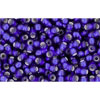 cc28df - Toho beads 11/0 silver lined frosted cobalt(10g)