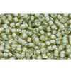 cc952 - Toho beads 11/0 rainbow topaz/sea foam lined (10g)
