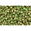 cc1702 - Toho beads 11/0 gilded marble green (10g)