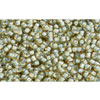 cc952 - Toho beads 15/0 rainbow topaz/sea foam lined (5g)