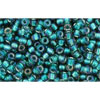 Buy cc270 - Toho beads 11/0 crystal/prairie green lined (10g)