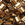 Beads wholesaler Cc457 - Miyuki tila beads dark bronze 5mm (25)