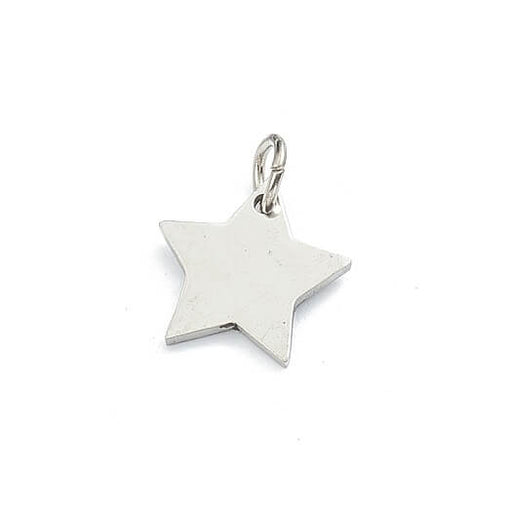 Star Pendant Stainless Steel - 11.5mm - Hole: 2mm (1)