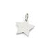 Star Pendant Stainless Steel - 11.5mm - Hole: 2mm (1)
