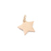 Star Pendant Rose Gold color Stainless Steel - 11.5mm - Hole: 2mm (1)