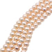 Freshwater Pearl - Cream White Potato - 6-6.5mm (1 strand-40cm)