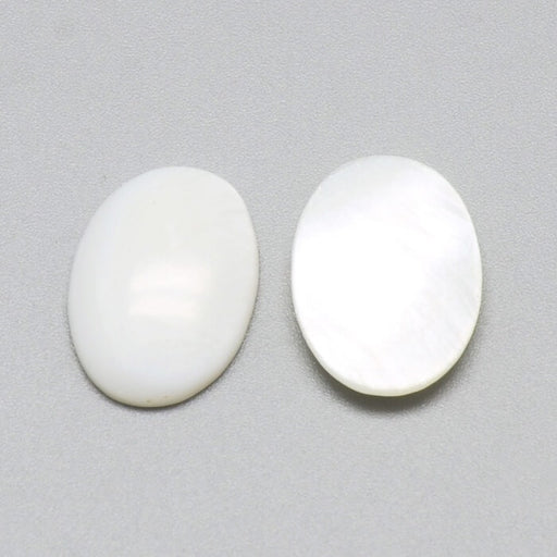Buy Oval cabochon white shell 18x13mm (1)