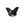 Beads Retail sales Black Agate Carved Butterfly Pendant 17x16.5mm - Hole: 1mm (1)