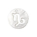 Charm pendant round shell Capricorn astrological sign 12mm (1)