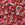 Beads wholesaler Miyuki Round Beads 11/0 Mix Strawberry Fields (10g)