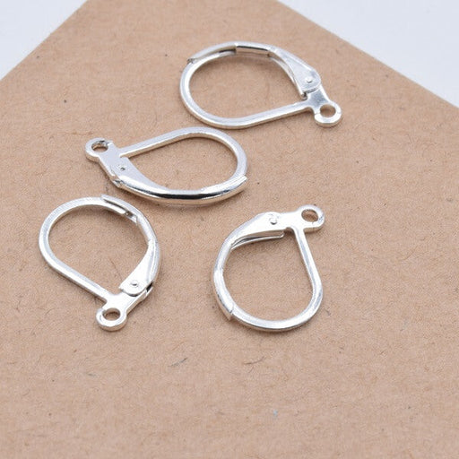 Buy Stainless Steel Leverback Earring - color Silver 15x10x1.5mm (4)