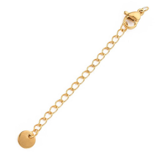 Lobster Clasp and extender chain 5cm with Medal - Stainless Steel Gold (1)