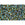 Beads wholesaler cc243 - Toho beads 11/0 inside colour rainbow topaz/opaque emerald lined (10g)