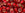 Beads wholesaler cc25c - Toho beads 3/0 silver-lined ruby (10g)