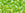 Beads wholesaler cc164 - toho beads 6/0 transparent rainbow lime green (10g)