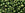 Beads Retail sales cc333 - toho beads 6/0 gold-lustered fern (10g)