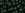 Beads wholesaler cc939 - Toho beads 6/0 transparent green emerald (10g)