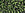 Beads Retail sales cc37 - Toho beads 8/0 silver-lined olivine (10g)