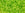 Beads wholesaler cc4 - Toho beads 8/0 transparent lime green (10g)