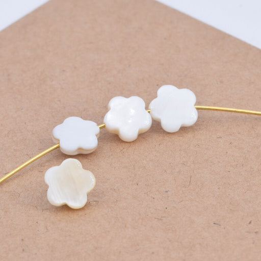 Buy Natural White shell Flower Beads 8x2.5mm - Hole: 0.8mm (4)
