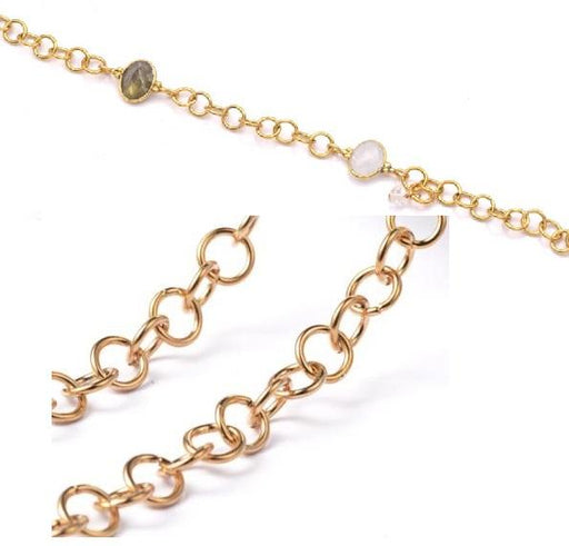 Buy Chain Rolo Steel gold 5x0.8mm (50cm)