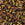 Beads wholesaler cc462 -Miyuki Half Tila Beads Met Gold Iris 2.5mm (35)