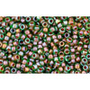 cc247 - Toho beads 15/0 inside colour peridot/oxblood lined (5g)