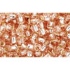 Buy cc31 - Toho beads 8/0 silver lined rosaline (10g)