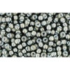 Buy cc371 - Toho beads 11/0 black diamond/white lined (10g)