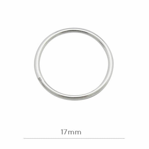 Buy Closed ring link 17x1mm Sterling silver 925 (1)