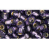 Buy cc39 - Toho beads 6/0 silver lined tanzanite (10g)