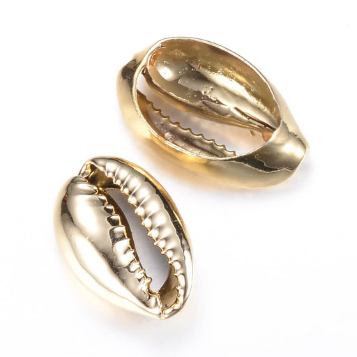 Buy Cowrie shell brass gold appx 20mm (1)